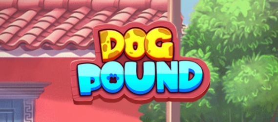 dog pound