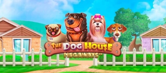 the dog house